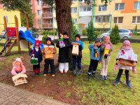 /album/fotogaleria/budky-4-jpg/